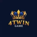 4twin game