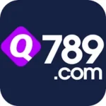 q789 Game logo