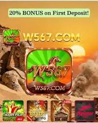 W567 game
