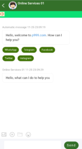 screenshort of costumer support of y999 game